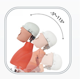 Jingle JG-A16 — Стоматологический фантом пациента (ребёнка) мобильный