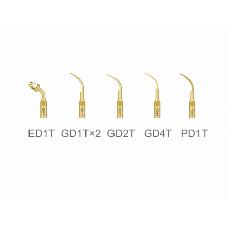 Woodpecker DTE-D5 LED - портативный ультразвуковой скалер с фиброоптикой, 6 насадок в комплекте