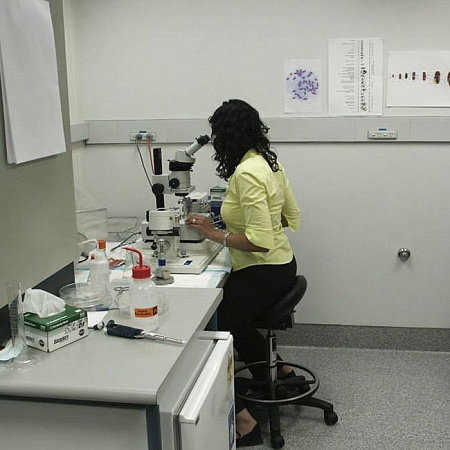 Bambach CW - эрготерапевтический стул-седло врача-стоматолога с уменьшенным сиденьем 